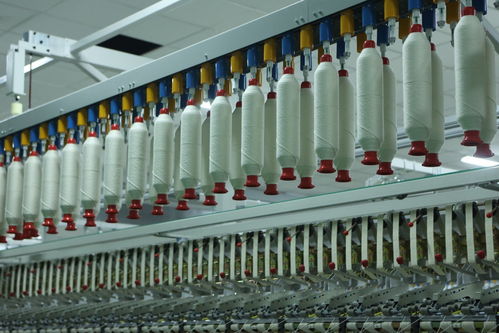 芦山县打造全数字化纺织工厂